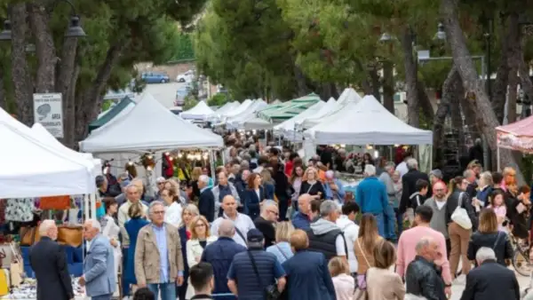 Folla animata al mercato di Porto San Giorgio, bancarelle colorate sotto gli alberi, un'atmosfera vivace tra venditori e visitatori.
