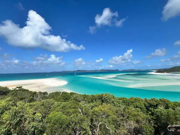 Widok na Whitehaven Beach z góry: turkusowa woda, biały piasek i zieleń.