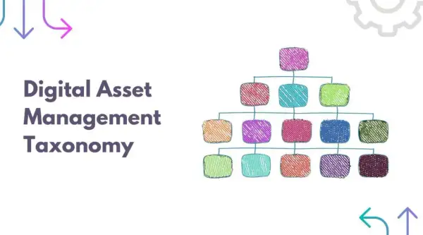 Digital Asset Management Taxonomy visualized as a colorful, hierarchical chart, offering dam taxonomy examples.