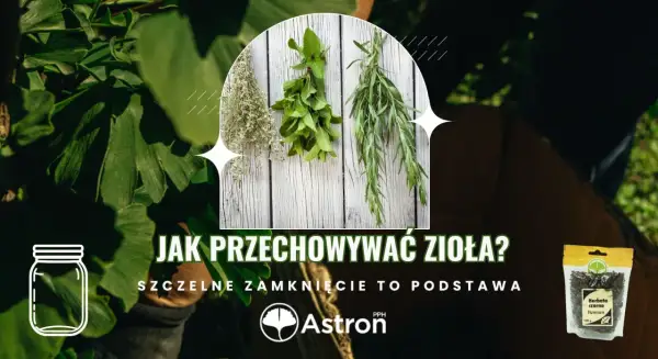 Zioła wiszące do wysuszenia i paczka herbaty. Dowiedz się, ile mogą stać zaparzone zioła, gdy są szczelnie zamknięte.