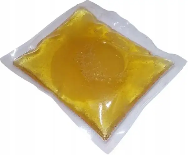 Gdzie kupić grzybek kombuchy? Sprawdzone miejsca i porady SCOBY