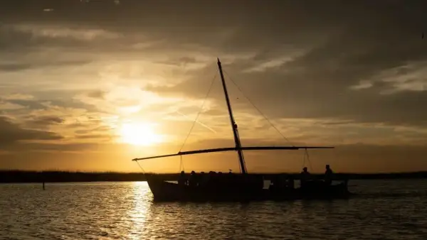 Un paseo en barca por la Albufera al atardecer, con el sol tiñendo el cielo de oro y las siluetas de los pasajeros reflejándose en el agua.