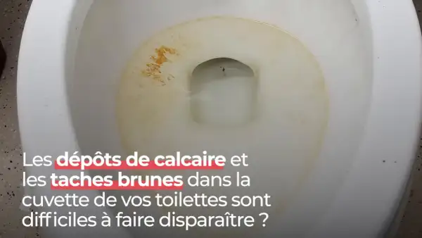 Dépôts marron au fond des toilettes, un problème tenace.