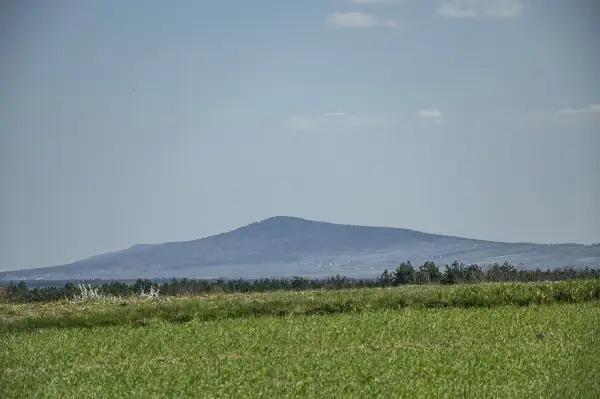 Łagodne, zalesione góry świętokrzyskie szczyty na horyzoncie, z zieloną łąką na pierwszym planie.