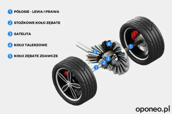 Dyferencjał: Co to jest i dlaczego bez niego nie skręcisz?