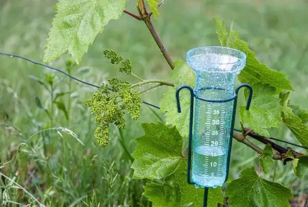 Drugie życie butelki: Wiatromierz DIY krok po kroku