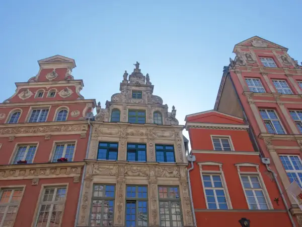 Bogata gdańsk architektura kamienic z detalami rzeźbiarskimi i ozdobnymi fasadami, widziana z dołu pod błękitnym niebem.