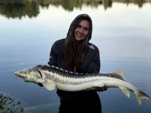 Uśmiechnięta wędkarz trzyma ogromnego jesiotra, który połknął zanętę na jesiotra.