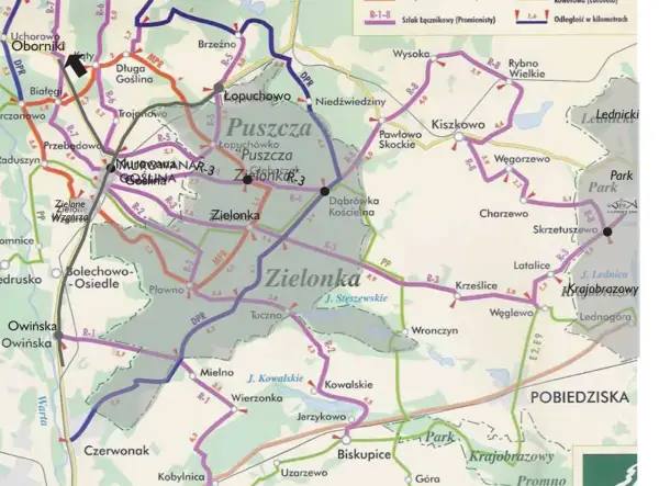 Puszcza Zielonka: malownicze trasy rowerowe wiodą przez lasy i wsie. Odkryj piękno przyrody na rowerze!