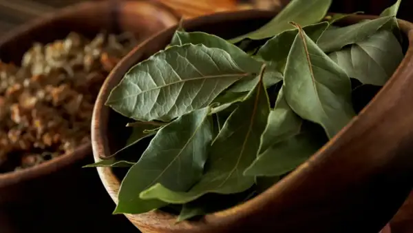 Hojas de laurel secas en un cuenco de madera, listas para dar sabor a guisos y estofados.