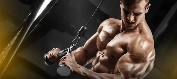 Najlepsze ćwiczenia na triceps na siłowni: zbuduj masę i siłę