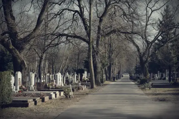 Aleja na cmentarzu z nagrobkami po bokach i drzewami bez liści.