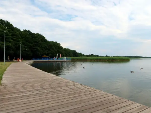 Drewniana promenada nad jeziorem, z widokiem na trzciny i pływające kaczki. Dąbki atrakcje dla miłośników natury i spokoju.