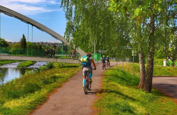 Rowerzyści przemierzają malownicze trasy rowerowe Beskidy, ciesząc się zielenią i słońcem.