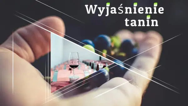 Wyjaśnienie tanin w winie. Dłoń trzyma winogrona, w tle kieliszek z czerwonym winem i beczki.