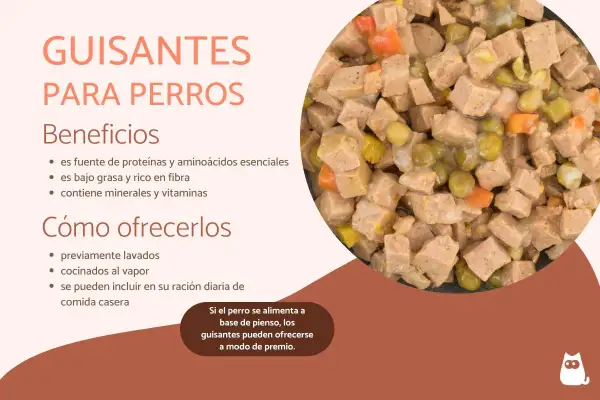 Un plato de comida para perros con trozos de carne, zanahoria y guisantes. Los perros pueden comer guisantes, son beneficiosos y se pueden ofrecer como premio.