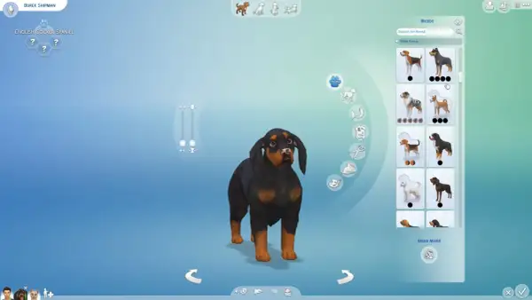 Wybieranie psa rasy rottweiler w The Sims 4. Jak adoptować psa w The Sims 4?