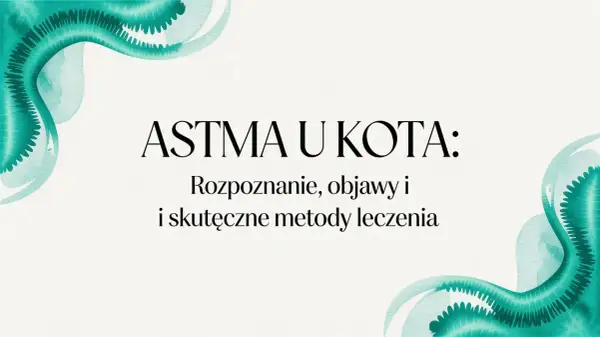 Astma u kota: rozpoznanie, objawy i skuteczne metody leczenia. Woda w akwarelowym stylu podkreśla delikatność tematu.