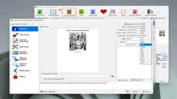 Fenêtre de conversion de livre dans Calibre. Le format de sortie PDF est sélectionné pour "Alice au pays des merveilles", un drm livre.