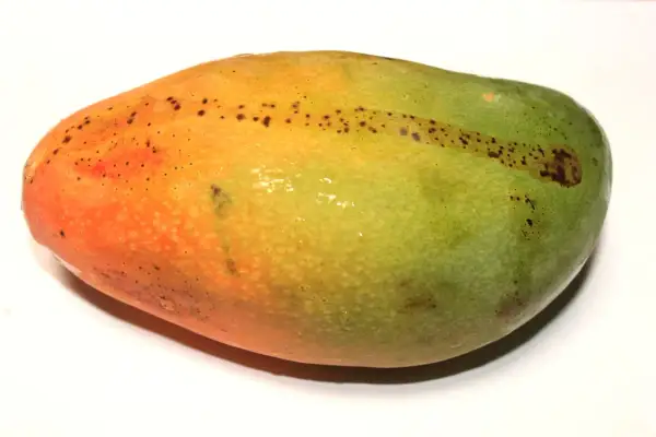 Oto jak wygląda mango: owoc o gładkiej skórce, przechodzącej od pomarańczowej do zielonej, z drobnymi, ciemnymi plamkami.