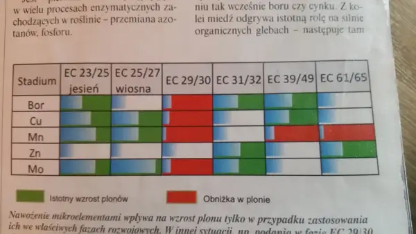 Plonvit zboża z czym łączyć, aby uniknąć błędów w uprawie