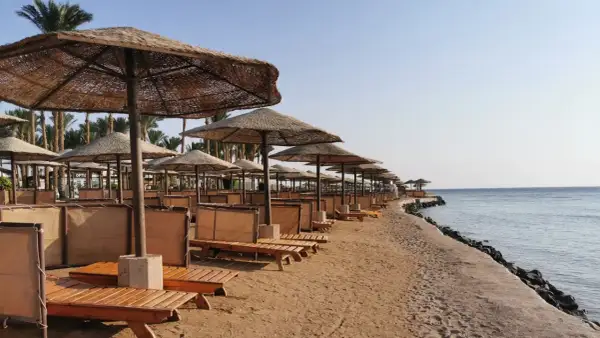 Plaża w Egipcie z rzędami leżaków i parasoli. Zastanawiasz się, ile kosztuje wiza do Egiptu, by tu wypocząć?