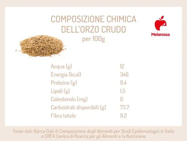 Composizione chimica dell'orzo crudo: scopri le proprietà dell'orzo, con valori nutrizionali per 100g.