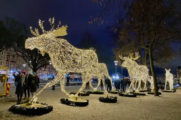 Julaktiviteter Stockholm: Ljusdekorerade älgar lyser upp en snöig kväll.