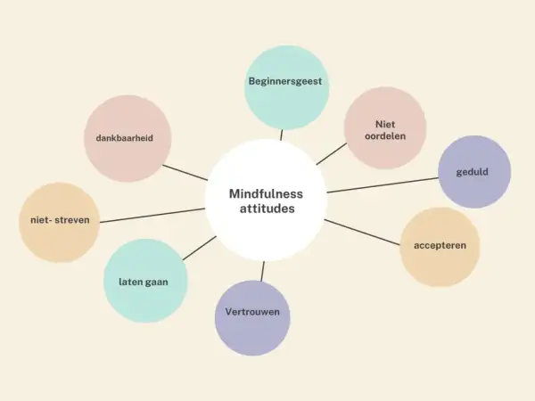 Mindfulness attitudes: dankbaarheid, beginnersgeest, niet oordelen, geduld, accepteren, vertrouwen, laten gaan, niet streven. Compassie als sleutel tot geluk.