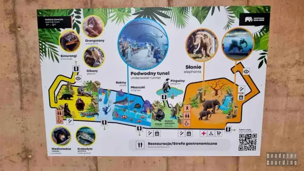 Mapa zoo koło Łodzi: zobacz orangutany, słonie, gibony, niedźwiedzie, krokodyle, pingwiny, rekiny, płaszczki i podwodny tunel.