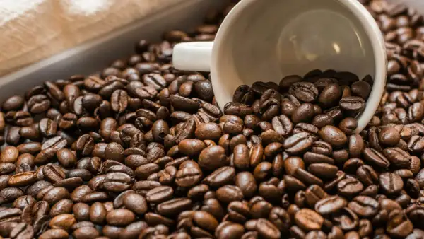 Chicchi di caffè tostati, con una tazzina bianca rovesciata in mezzo. Un'immagine che evoca il piacere del caffè senza caffeina.