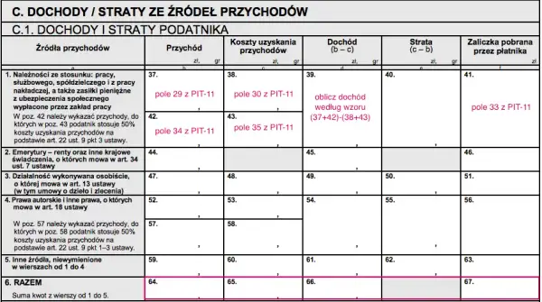 Ile za rozliczenie PIT? Sprawdź, jak to zrobić bez opłat!