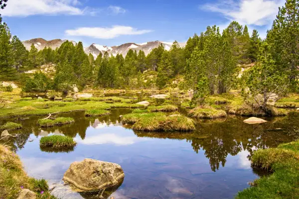 Un étang paisible reflète les pins et les montagnes enneigées, un aperçu des plus beaux endroits des Pyrénées-Orientales.