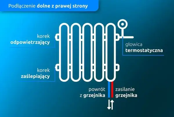 Schemat podłączenia grzejnika od dołu z prawej strony. Widoczny korek odpowietrzający, zaślepiający, głowica termostatyczna, zasilanie i powrót.