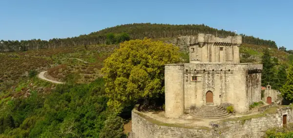 El Castelo de Sobroso, una fortaleza de piedra, se alza majestuoso entre colinas verdes y un gran árbol frondoso.