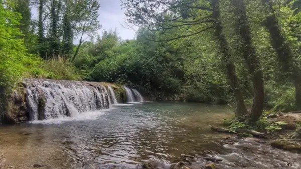 Le cascatelle di Cingoli, un angolo di paradiso verde con acqua cristallina e alberi secolari che creano un'atmosfera magica.