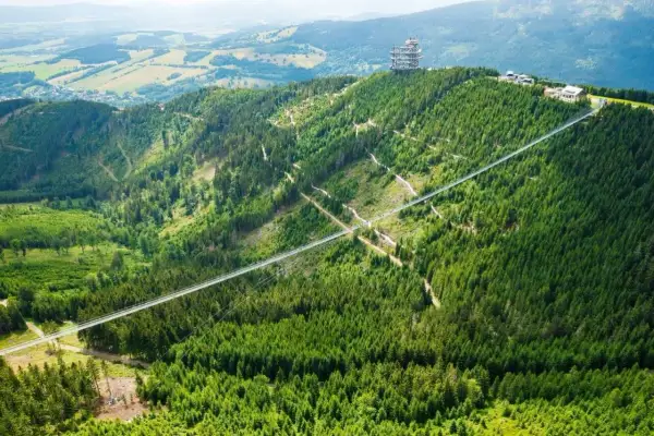 Długi, wąski sky bridge przecina gęsty, zielony las na zboczu góry. Na szczycie widać wieżę widokową.