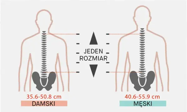 Ilustracja pokazuje, jak dobrać plecak do wzrostu, porównując wymiary tułowia damskiego (35.6-50.8 cm) i męskiego (40.6-55.9 cm).
