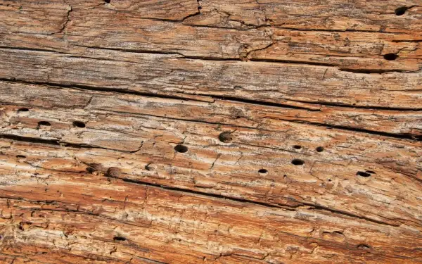 Texture d'un vieux bois vermoulu, marqué par le temps et les insectes. Les fibres du bois sont apparentes, révélant des trous et des fissures.