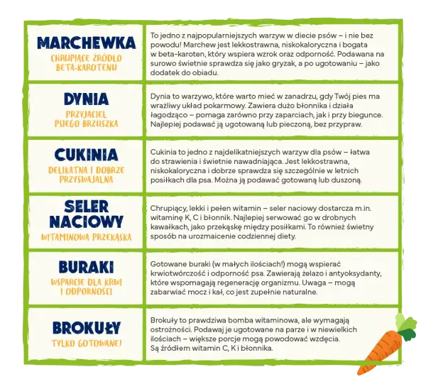 Jakie warzywa dla szczeniaka są zdrowe i bezpieczne? Kluczowe informacje