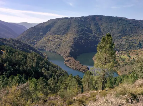 Un río serpentea entre montañas boscosas en Ribas de Sil. El sol ilumina el paisaje otoñal.