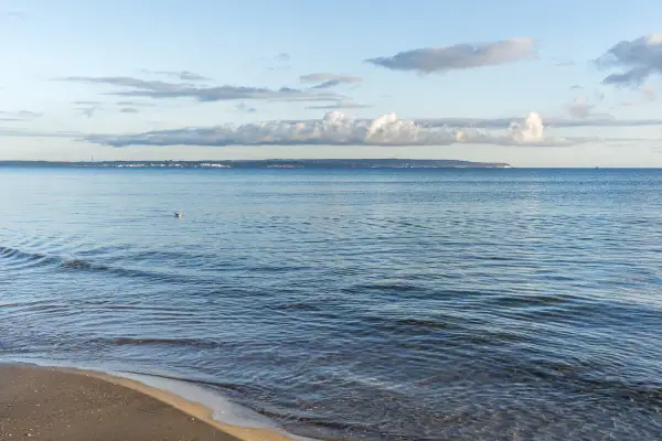 Sanfter Wellengang am Strand, im Hintergrund die Küstenlinie mit Häusern und Industrieanlagen, die an die Ostseeinseln erinnert. Ein einzelner Vogel schwimmt im ruhigen Wasser.