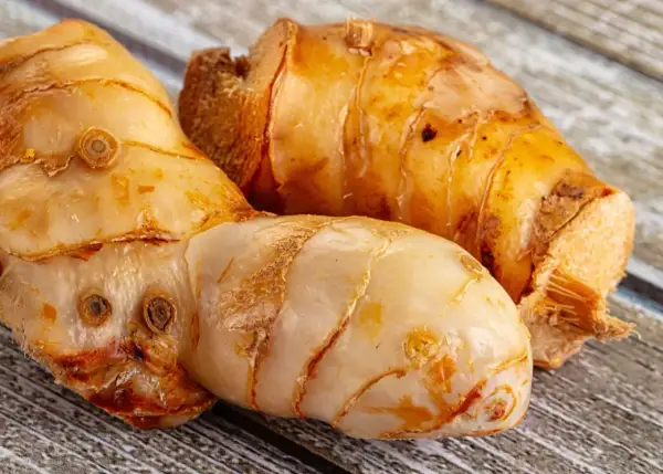 Trzy korzenie galangalu, przyprawy o intensywnym aromacie. Galangal co to? To egzotyczny imbir, który dodaje potrawom pikanterii.