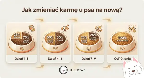 Schemat stopniowej zmiany karmy u psa: od 25% nowej karmy przez 50/50, aż do 100% nowej karmy.