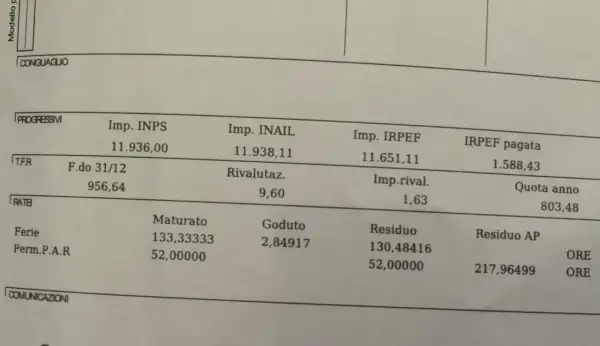 Dettagli su contributi e ferie pagate. Si vedono importi per INPS, INAIL, IRPEF e TFR, oltre a ferie maturate e godute.