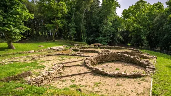 Ruinas de un castro alobre, con muros de piedra y vegetación exuberante.