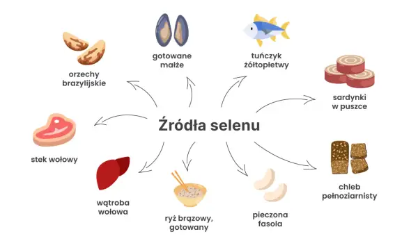 Orzechy brazylijskie, małże, tuńczyk, sardynki, stek wołowy, wątroba, ryż, fasola i chleb pełnoziarnisty to źródła selenu.