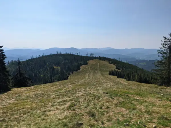 Widok z kamery rysianka na zalesione wzgórza i pasma górskie w oddali.