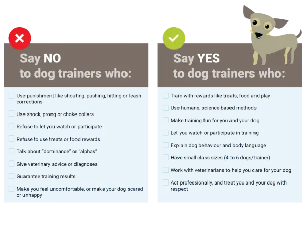 A graphic lists "Say NO" and "Say YES" to dog trainers. The "YES" side highlights positive methods, like a dog therapist using rewards and humane techniques.