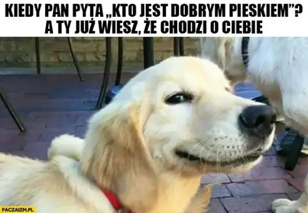 Śmieszne życzenia na Dzień Dziecka: Gotowe teksty, które rozbawią!